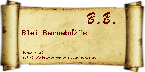 Blei Barnabás névjegykártya