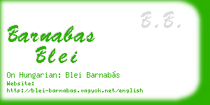 barnabas blei business card